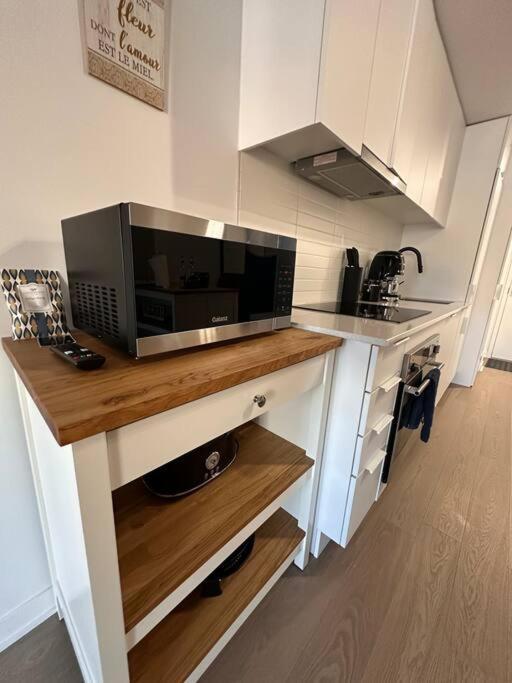 Bel Appartement Au Centre-Ville Монреал Екстериор снимка